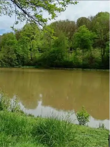 Location étang avec une maison champêtre 📍  🌸 Découvrez deux étangs de 1ha et une carpière de 0,3ha avec accès à chalet idéal pour les amoureux de la nature et les groupes souhaitant se retrouver. Il offre 4 couchages : un clic-clac au rez-de-chaussée et une mezzanine pour plus d’intimité. 🐟 Idéal pour les amoureux de la nature et du confort.  🏡 Équipements : 2 chambres dont canapé convertible, cuisine équipée, terrasse, jardin avec étang privé, barbecue, poêle à bois, eau courante et électricité.  🎣 Activités disponibles : Pêche, randonnées, visites culturelles. 🥇 Record poisson : Carpes (jusqu’à 15kg), Tanches (environ 120),brochets (une vingtaine, le plus gros mesurant près de 1m). ✨ Chaque réservation permet de venir à 6  💰 108 € soit 18€/personne/nuit  ✨ Réservez dès maintenant et venez découvrir un havre de paix en pleine nature !  #Rentalake #LouerUnEtang #etang #Fishmyspot #fishing #fishinglife #pechemouche #pêcheurs #pecheenfrance #brochet #sandre #truite #carpe #carpiste #PecheDeLaCarpe #Pêcheur #carpediem #camping #campinglife #tent #nature #naturelovers #adventure #getoutside #vanlife #homeiswhereyouparkit #vanlifediaries #roadtrip #campervan #explore 