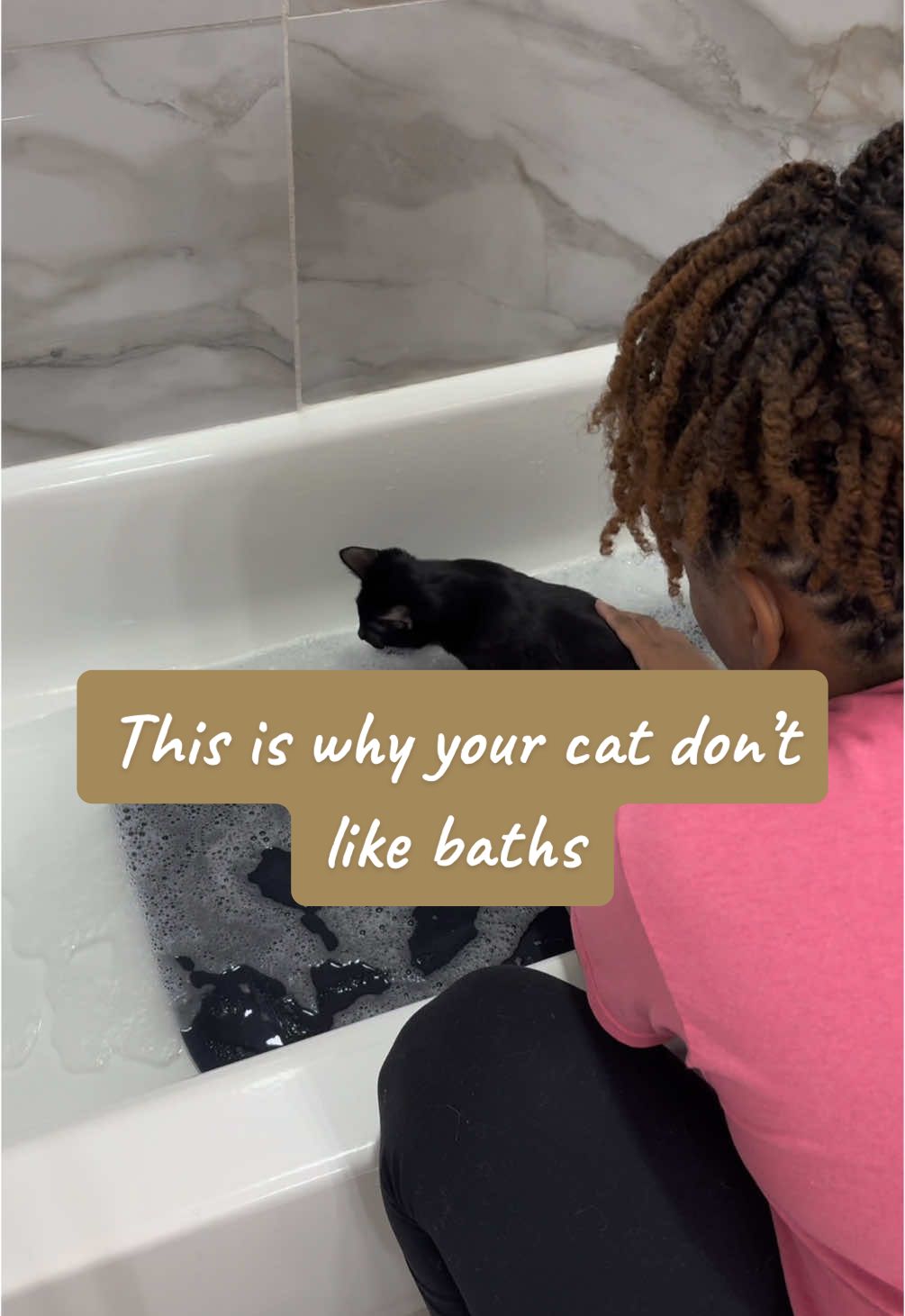 I know some of you are going say cats are self cleaning but if you know what I know he definitely needed a bath this day 🤣 #catbath #bathcat #catsoftiktok #cutecatsoftiktok #catmom 