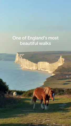 The beautiful white cliffs of the south coast. 🤍🩵💚 SAVE this post for your next beautiful hike on the south coast of England. 🅿️ Crowlink Car park what3words address: ///loudly.tips.clap 🍺 The Tiger Inn - East Dean  & 🅿️  🥾 10K  🚶‍♀️ Easy/ Moderate ⏰ 2.5 hrs ☕️ & 🚾 Birling Gap #sevensisterscliffs #southdownsway #exploreuk #ukhikingadventures #coastalwalksuk #daysoutfromlondon #visitsussex