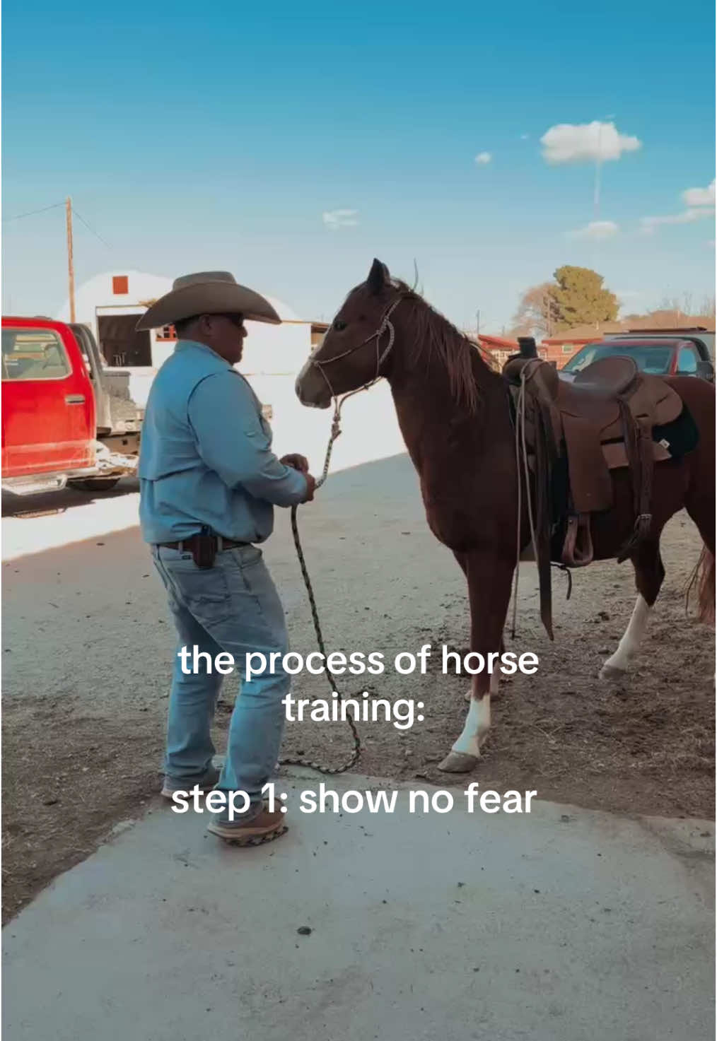 when you’re a little country & a little hood 🤠#horses #cowboy #ranchlife #country #horsetraining #western 