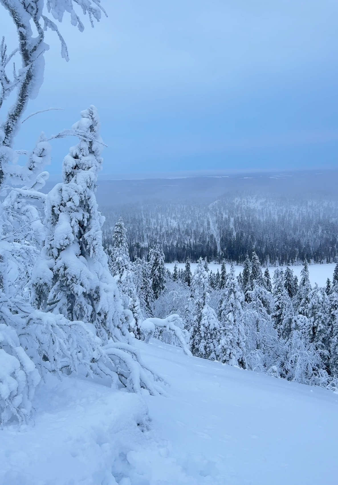 healthier than water #hike #whitemonster #snow #underyourspell #fyppp #views 