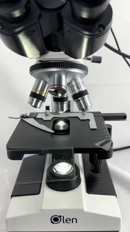 Batom no microscópio 🥰 #batom #maquiagem #mulheres #curiosidades 