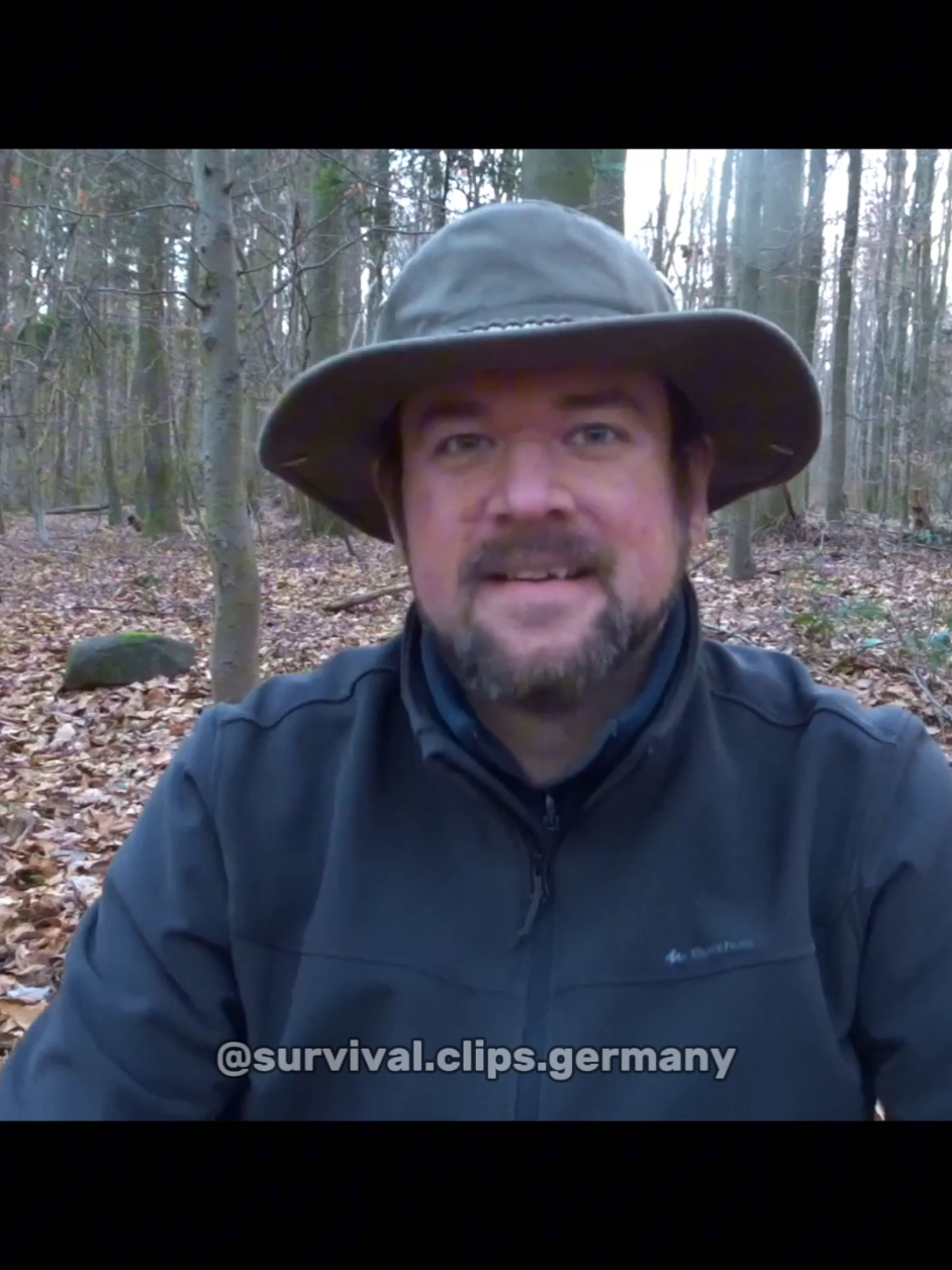 #fyp #fritzmeinecke #survivalmattin #viraltiktokvideo #viral #7vswild #wildschweinangriff 