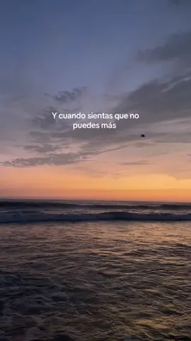 Las canciones de Zoé💗 #fyp #rockenespañol #zoe #paratiiii #rocanlover #leonlarregui #viral_video #foryouu #xyzcba 