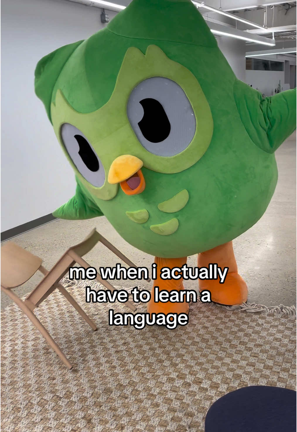 wdym i can’t just “yo como manzanas” my way through life #duolingo #languagelearning 