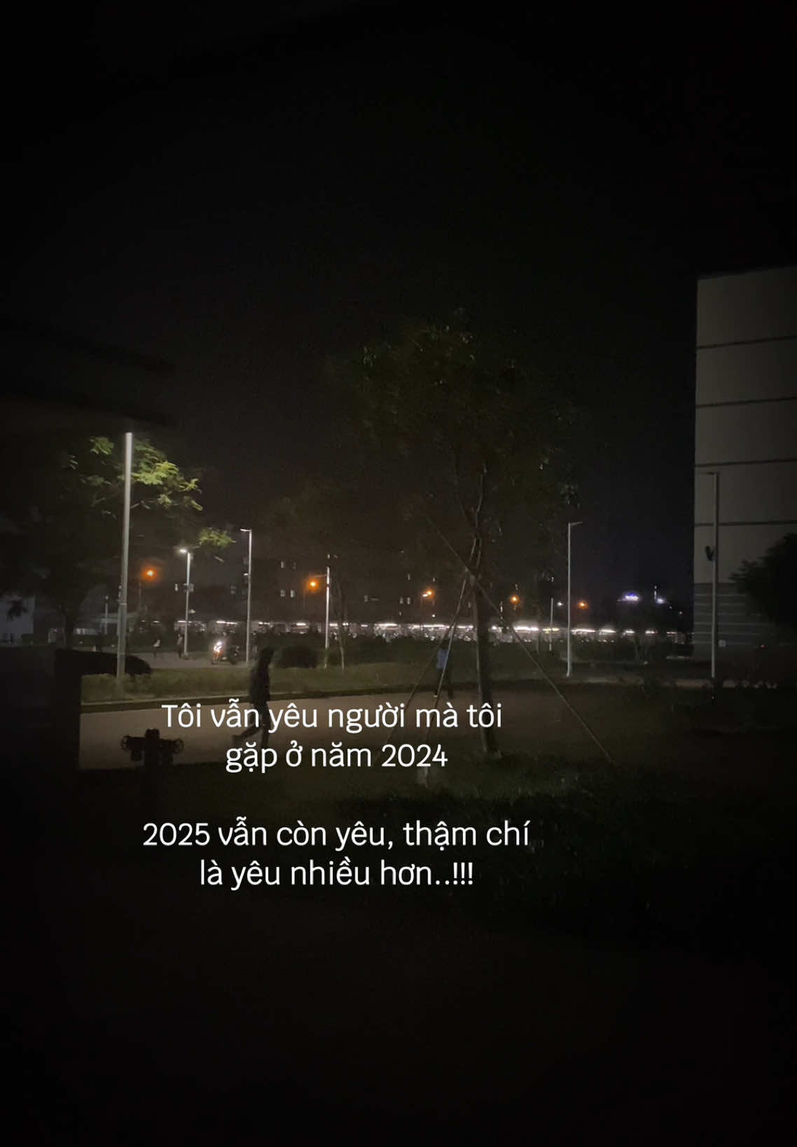 Tôi vẫn yêu người tôi gặp ở năm 2024…#love_08th04 #tamtrang #fyp #stt #xuhuong 