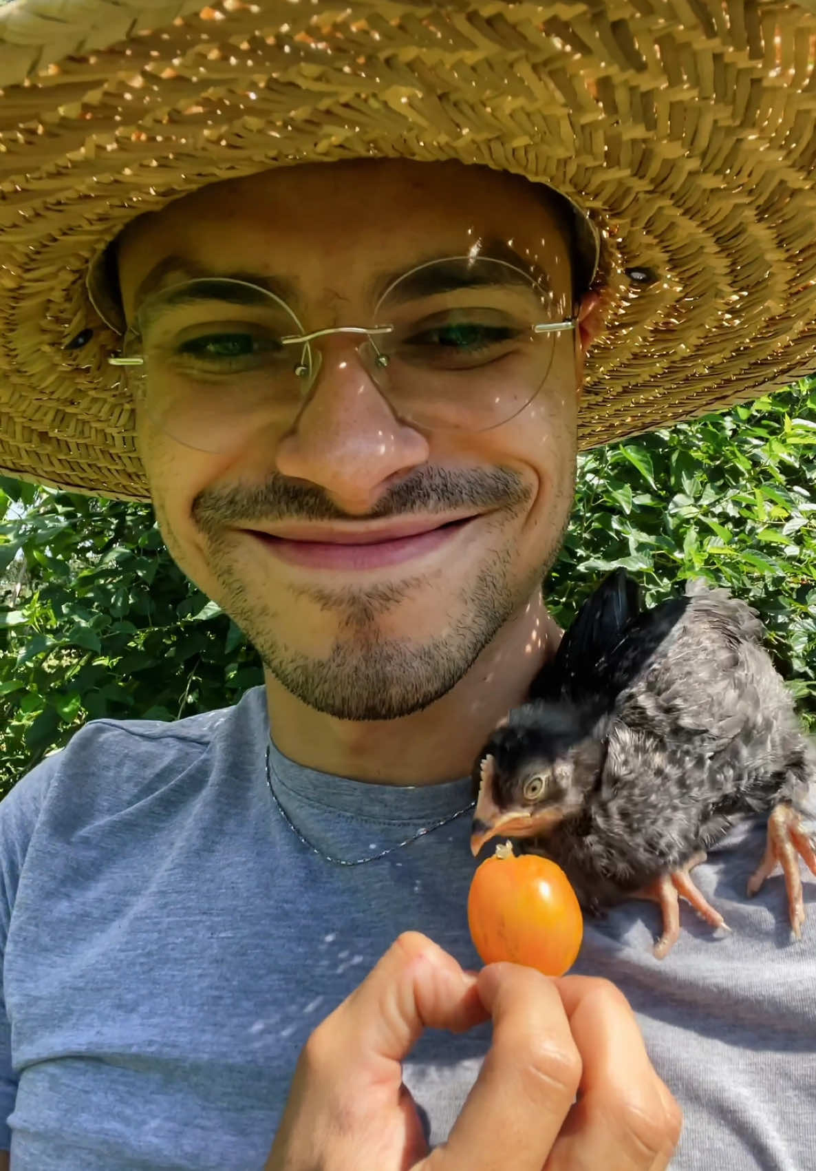 Sharing my favorite content to brighten up your feed.  When I could harvest with baby Olive 🥹🐣 #garden #harvest #abundance