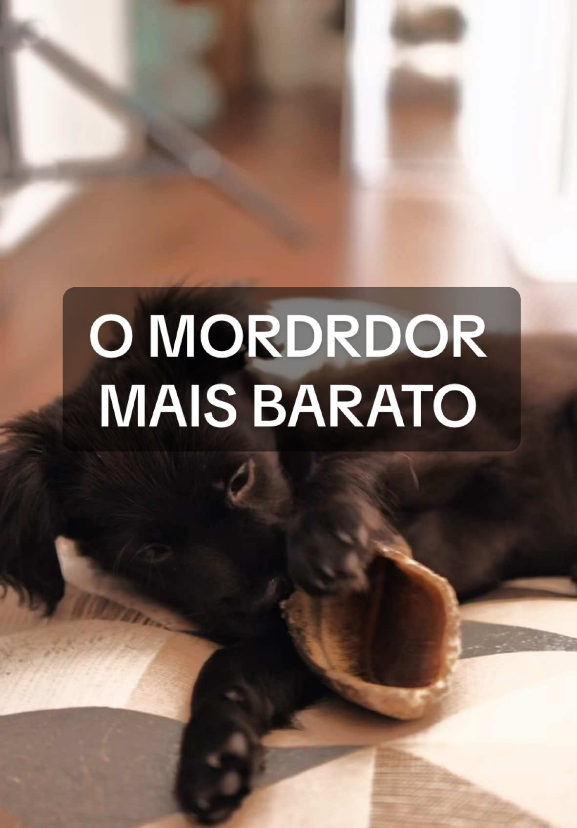 O mordedor MAIS barato existe! #cascodeboi #petshoponline #cachorrosdotiktok #viral_video 