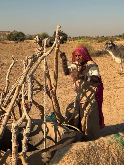 tharparkar village life view#tiktok #foryou #trending #tarparkar #thar #jaisalmer #Rajasthan 