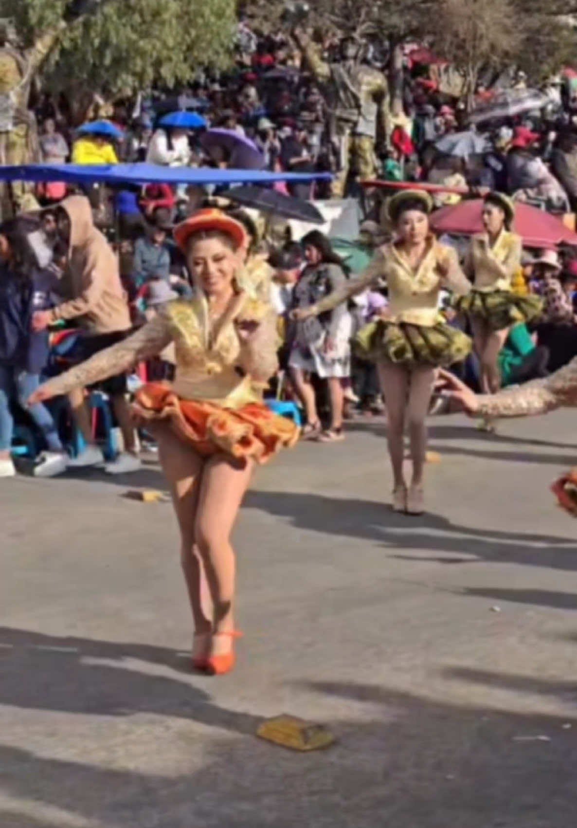 Louding Carnaval de Oruro 💚#CapCut 