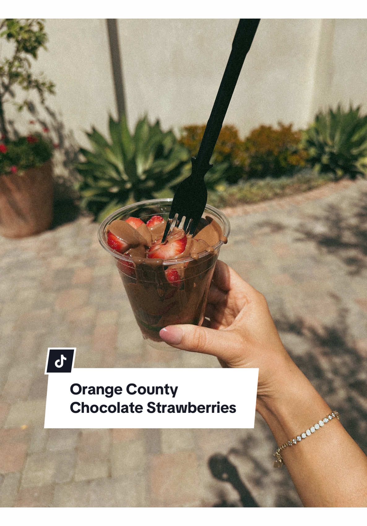 Grab your bestie and visit this spot 🍫🍓✨ #thingstodoinorangecounty #orangecounty #sanjuancapistrano #chocolatestrawberries #galentinesday 