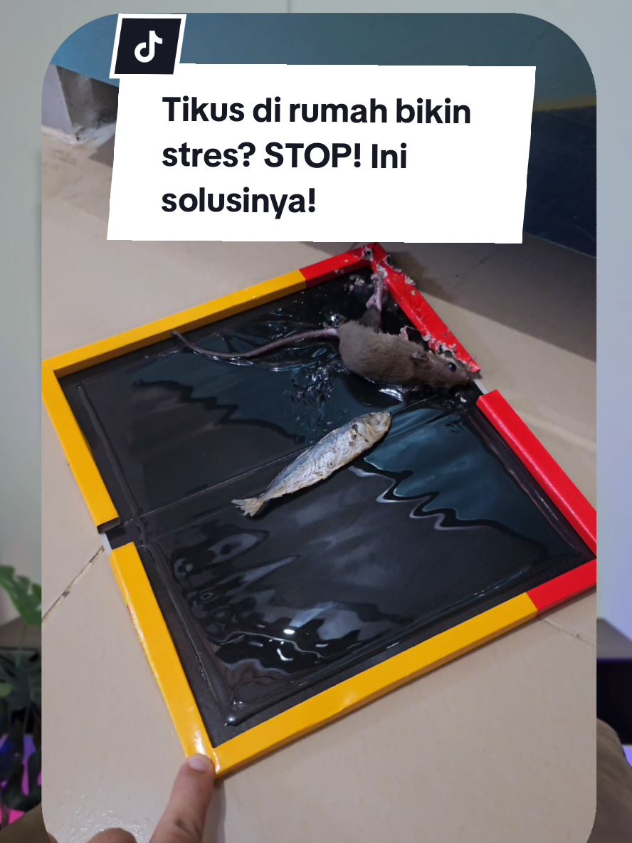 Tikus di rumah bikin stres? STOP! Ini solusinya! #fyp #fypage #solusi #murahbanget #rumah #promo #murah 