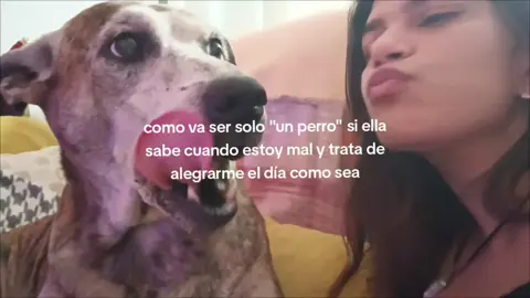 my life #mascota #foryou #frases #parati #reflexion #sunsetinmemory #sanacionespiritual #inseguridades #dejarir #fxp #xyzbca 