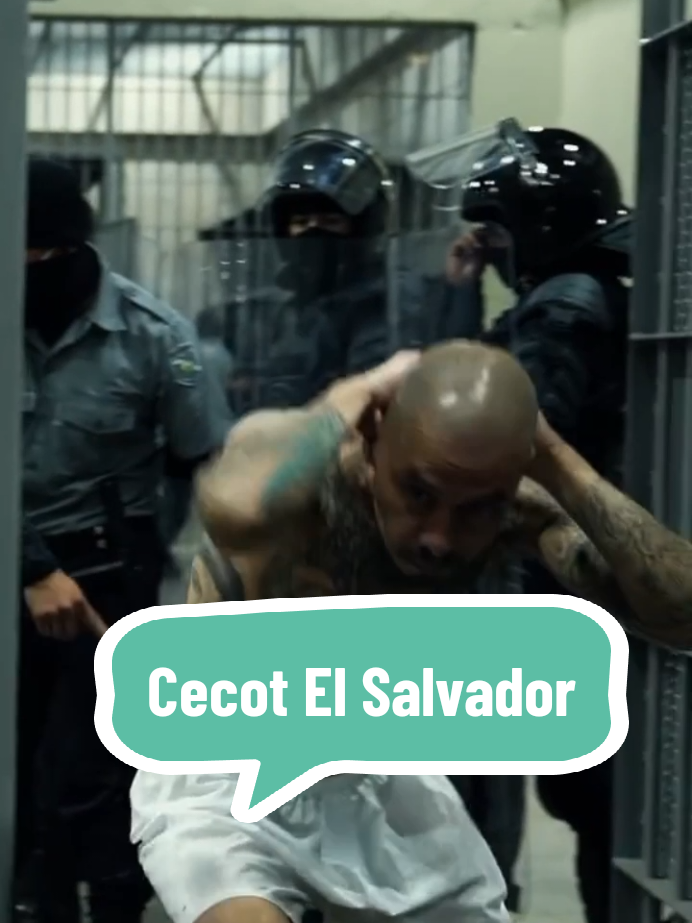 CECOT El Salvador #cecot #cecotelsalvador #viral #viralvideo #fyp 