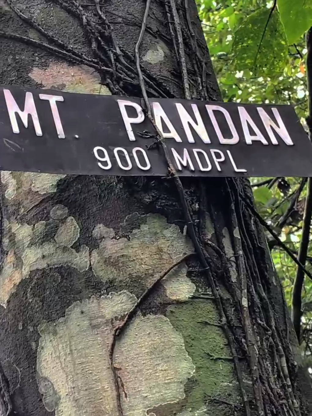 Ada gebrakan baru nichh dari Karang Taruna Desa Klangon, Pemuda harapan bangsa tidak diciptakan dari proses yang mudah 😎 @officialpgp900mdpl  #mtpandan900mdpl  #mtpandanviawatubayang 