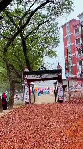 নওয়াব ফয়জুন্নেসা সরকারি কলেজ লাকসাম 😊🫶