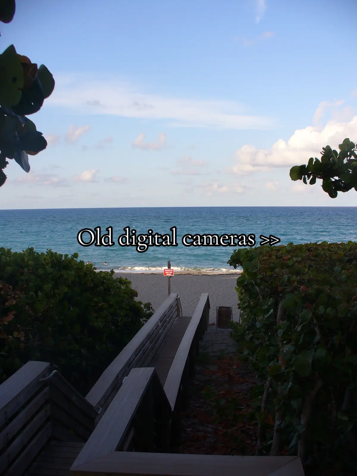 Lowkey need a new digital camera so lmk recommendations please 🙏🫶 #flordia #Summer #junobeach #beach #digitalcamera #fyp #trending #foryoupage 