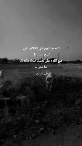 الكلاب النباحة نادراً ماتعض#اكسبلورexplore #اكسبلوررر #اكسبلور #ترندات #ترندات_تيك_توك #✨✨القيصر✨✨ #عبارات_جميلة🦋💙 #حافي_في_زمن_القنادر #✨القيصر✨ #دعمكم_ورفعولي_فديو_لايكات_تكفون #creatorsearchinsights 