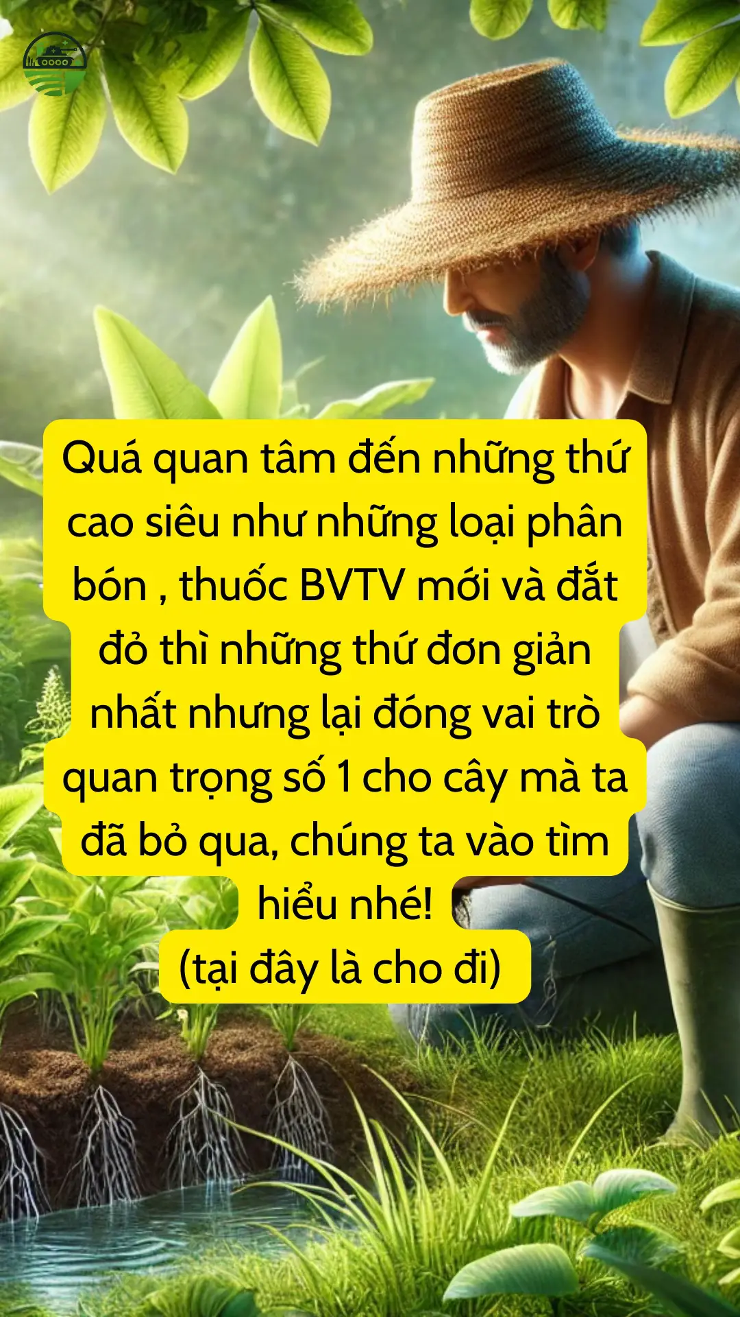 Bà Lan có một khu vườn nhỏ sau nhà, nơi bà trồng đủ loại rau củ và hoa trái. Mỗi sáng, bà thường ra vườn, chăm chút từng cây, tưới nước, bắt sâu, bón phân. Thế nhưng, dạo gần đây, bà nhận thấy cây trong vườn chậm lớn, lá úa vàng, hoa ít nở và trái thì nhỏ. Bà Lan buồn bã, tự hỏi mình đã làm gì sai. Bà bón phân đều đặn, tưới nước hàng ngày, vậy mà cây cối vẫn không tươi tốt như xưa. Một ngày nọ, người cháu nội đến chơi, thấy bà buồn liền hỏi chuyện. Nghe xong, cậu bé cười tươi: “Bà ơi, có khi nào đất vườn mình bị chua không? Đất mà chua quá thì cây cũng khó hấp thụ dinh dưỡng đó!” Bà Lan ngạc nhiên: “Đất chua là sao hả con?” Cậu bé liền giải thích: “Độ pH của đất giống như vị chua ngọt vậy đó bà. Nếu pH quá thấp (chua) hay quá cao (kiềm), cây sẽ khó hấp thụ dinh dưỡng từ đất. Đất tốt thường có pH trung tính, khoảng 6-7. Mình nên kiểm tra pH đất và điều chỉnh cho phù hợp.” Bà Lan nghe vậy, liền đi mua bộ kiểm tra pH đất. Quả nhiên, đất vườn bà có pH chỉ 5, quá chua cho rau củ phát triển. Bà thêm vôi bột để nâng pH, và sau vài tuần, cây bắt đầu tươi tốt trở lại, lá xanh mướt, hoa nở rộ, trái sai lúc lỉu. Từ đó, bà Lan hiểu rằng, chăm sóc đất không chỉ là bón phân tưới nước, mà còn là điều chỉnh độ pH – môi trường sống quan trọng giúp cây khỏe mạnh, phát triển tốt. #chiase #nongnghiepdehieu #nongnghiepxanhgega #phanbon #xuhuong #NVNM #LearnOnTikTok 