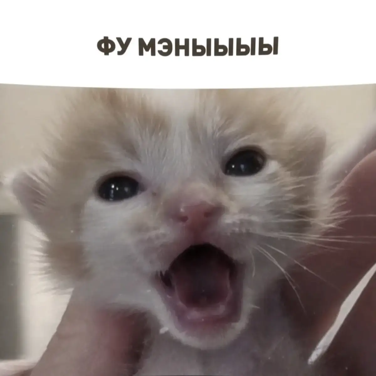 #рекомендации #рек #kittiks_gg #ялох 