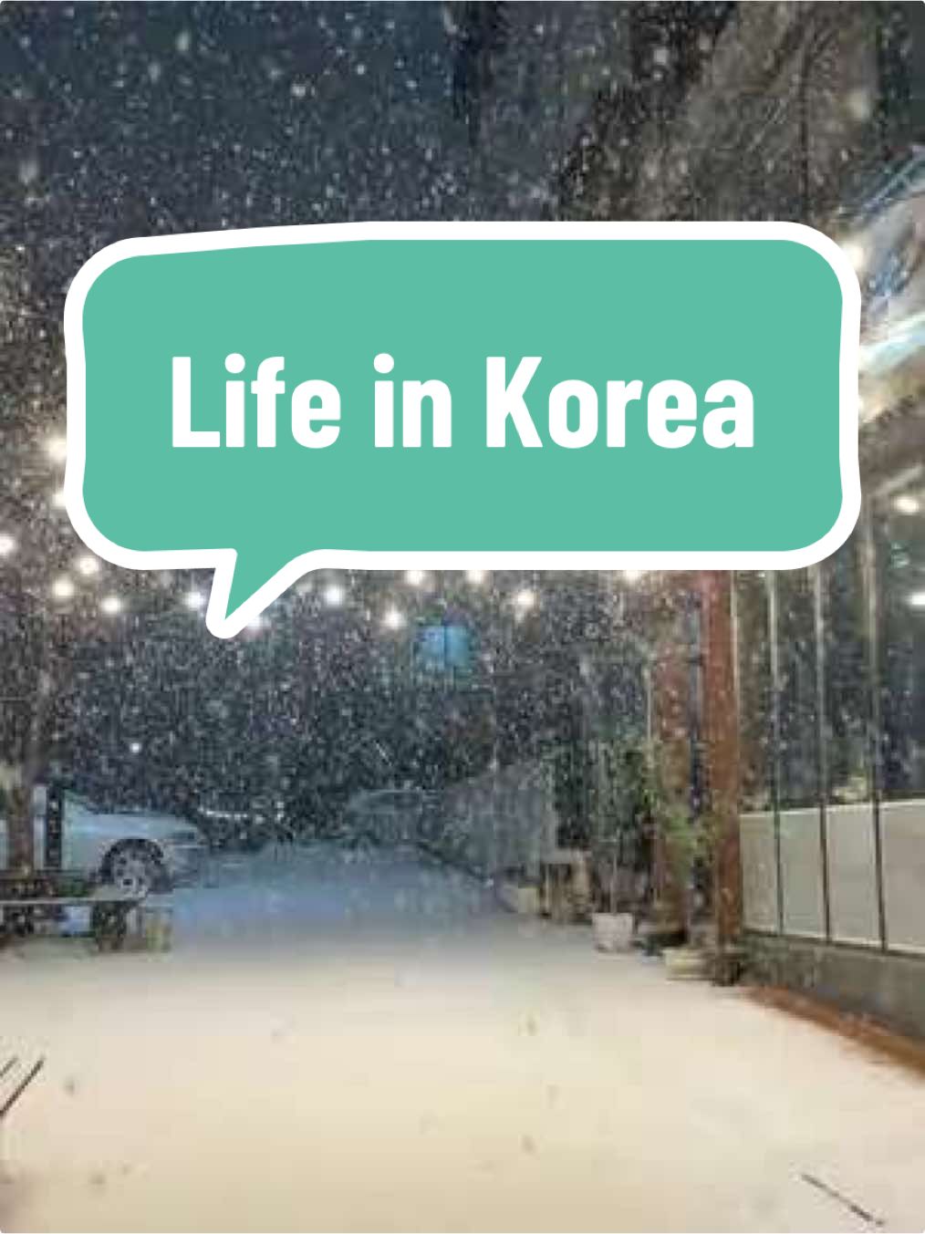 snowing again in Korea❄️😍❄️ #snow #snowfall #snowinkorea #winterinkorea #livinginkorea #currentweatherkorea 