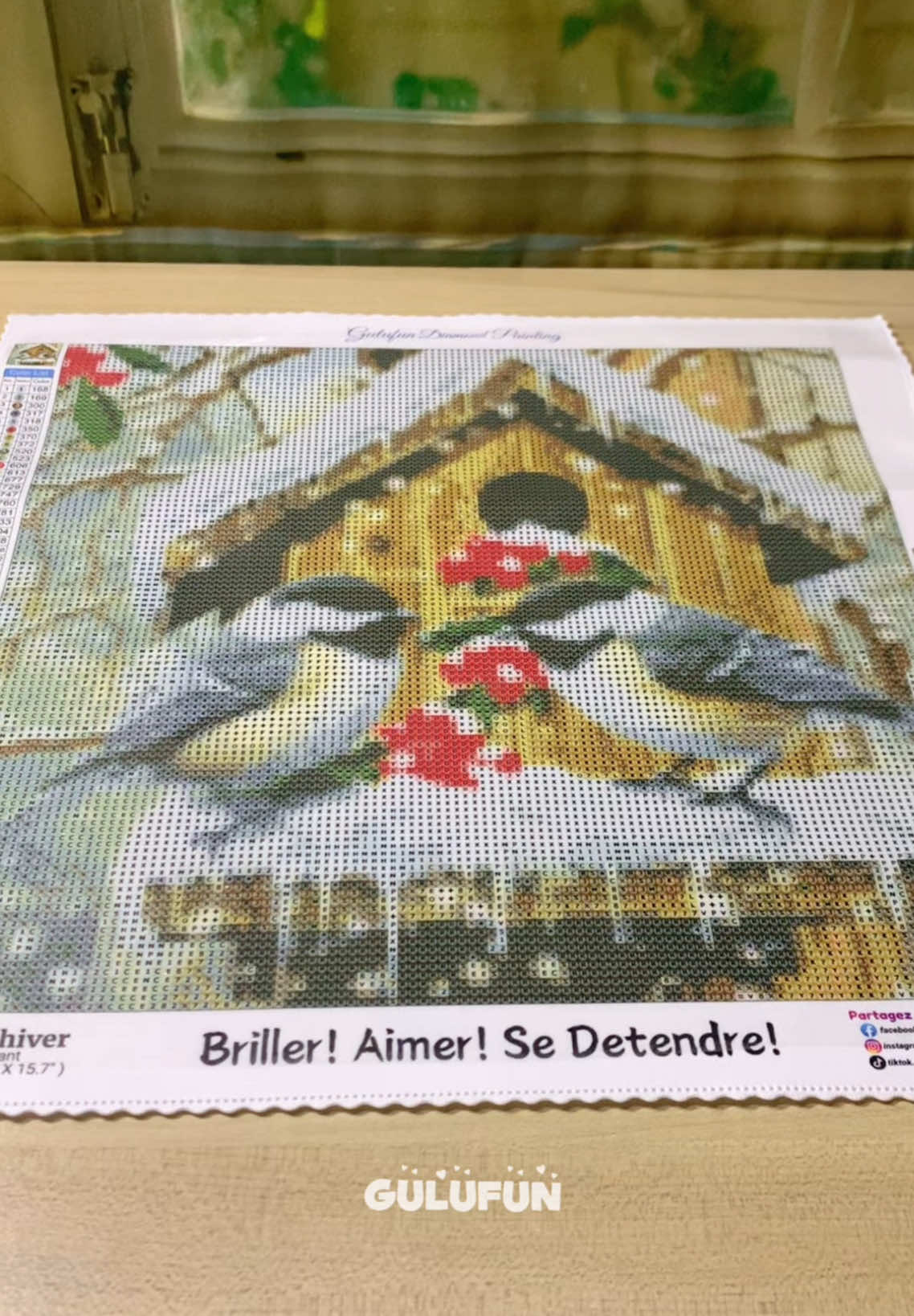 Snow bird house in winter #diamondpainting #pinturadiamante #broderiediamant #diamondpaintingfrance #diamondart #diamondpaintingunboxing #diyproject #birds #animal #hobby 