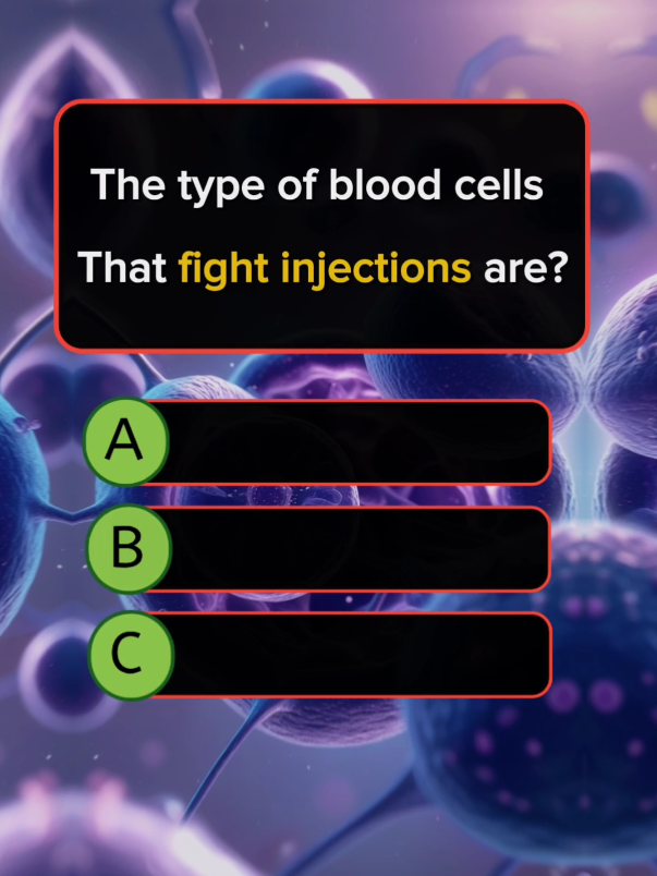 Can you get 6/6,?#QuizChallenge #TriviaTime#BrainTeaser #TestYourKnowledge #QuizNight#TriviaChallenge #KnowledgelsPower#IQTest  #FunWithFacts#MindGames #QuizAddict#IQTest #BrainWorkou#QuickQuiz #PopCultureQuiz#Trivia  #DailyQui#QuizOfTheDay #RandomFactsQuiz #GeneralKnowledgeQuiz