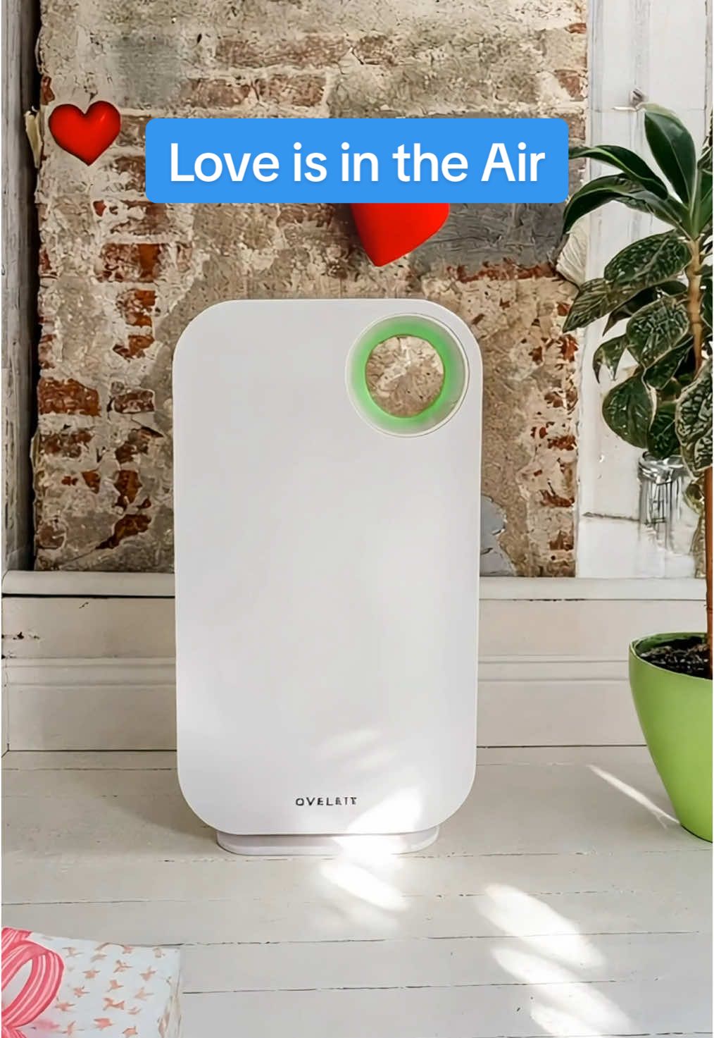 The perfect gift 💝  Do you have Valentine’s Day plans? #airpurifier #purifier #cleanair #ValentinesDay #freshair #valentinesdaygift 