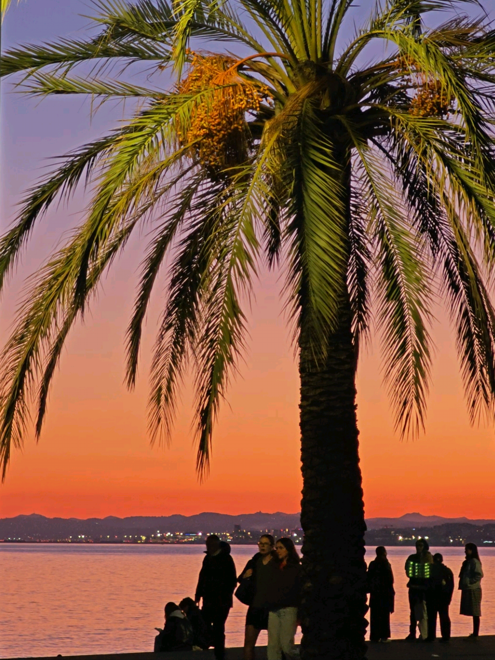 Nice 📍 Côte d'Azur 🌴 Un moment magique au coucher de soleil sur la promenade des anglais . #vuemagnifique #cotedazur #suddelafrance #plage #promenadedesanglais #niceviewpoint #coucherdesoleil #pourtoi 