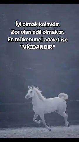 #🇹🇷Sİ❤ASLI KADER🇹🇷