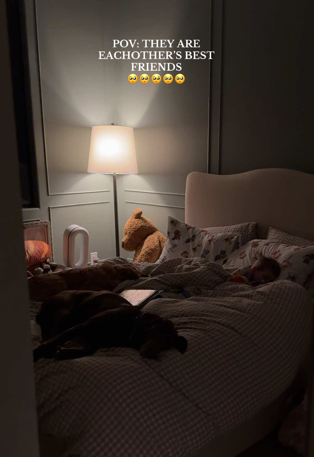 I don’t think anything could have prepared me for the relationship my dogs have with my bb🥺 AND ONE MORE COMING TO THE SQUAD SOON😭✨🤰🏼 #dayinmylife #MomsofTikTok #youngmom #pregnancy #trending #viral #goldenretriever #dogsoftiktok #dogmom #chocolatelab #redgolden #momlife #toddlersoftiktok 