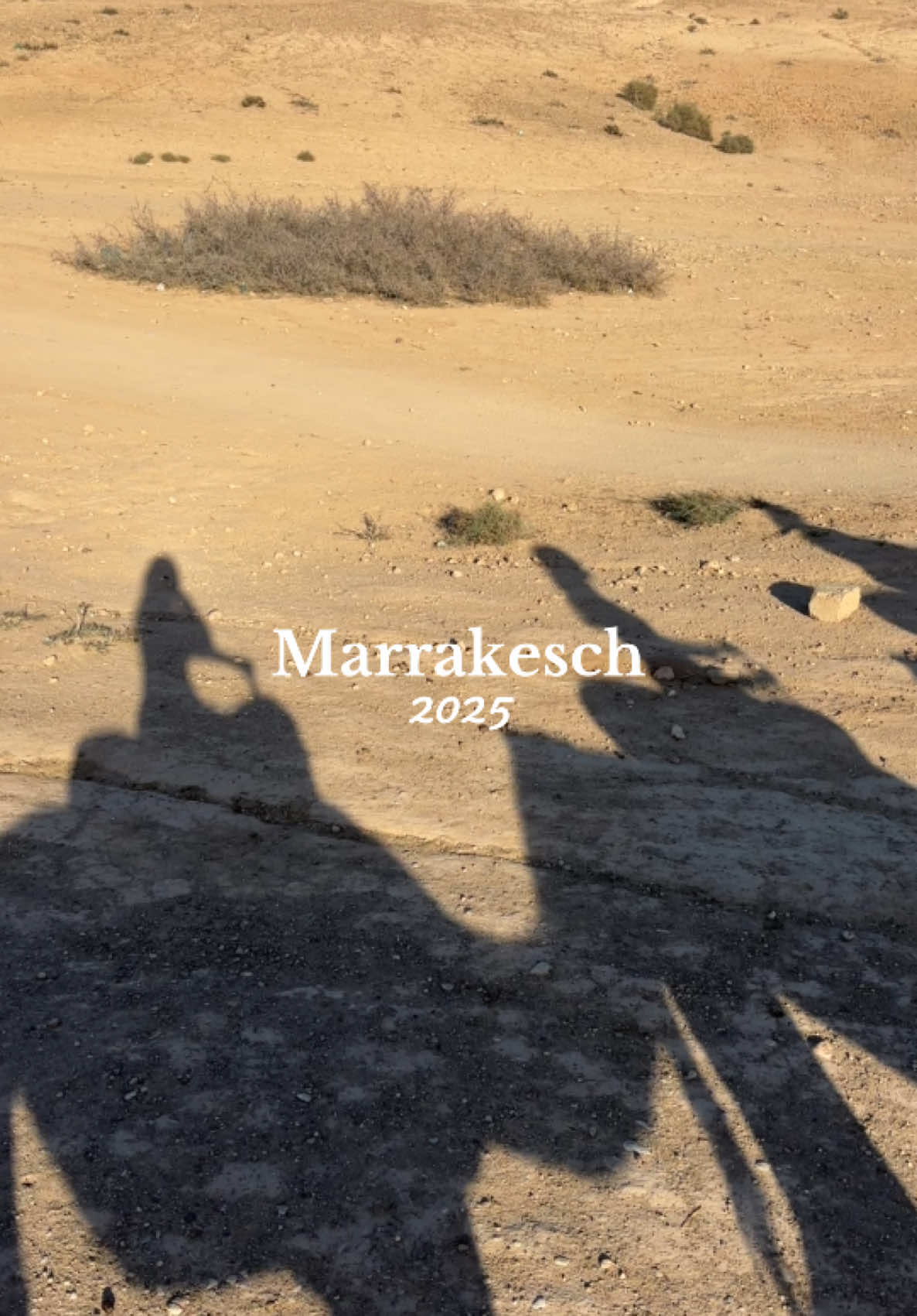 This is your sign to book that trip to Morocco 🇲🇦 #morocco #marrakech 