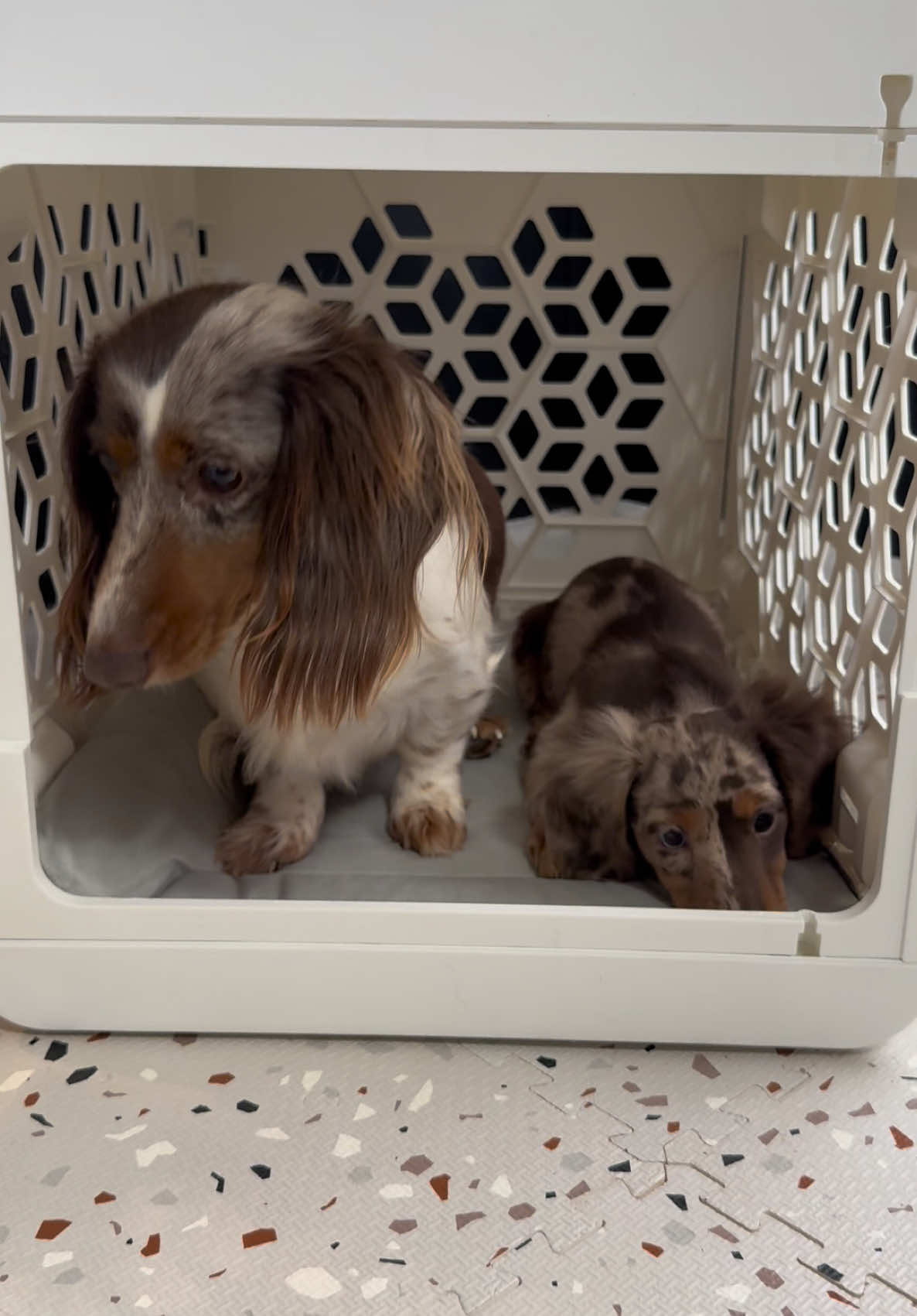 We adore these cute crates🤌 #kindtail #nestwithjoy #kindtailkarma @KindTail 