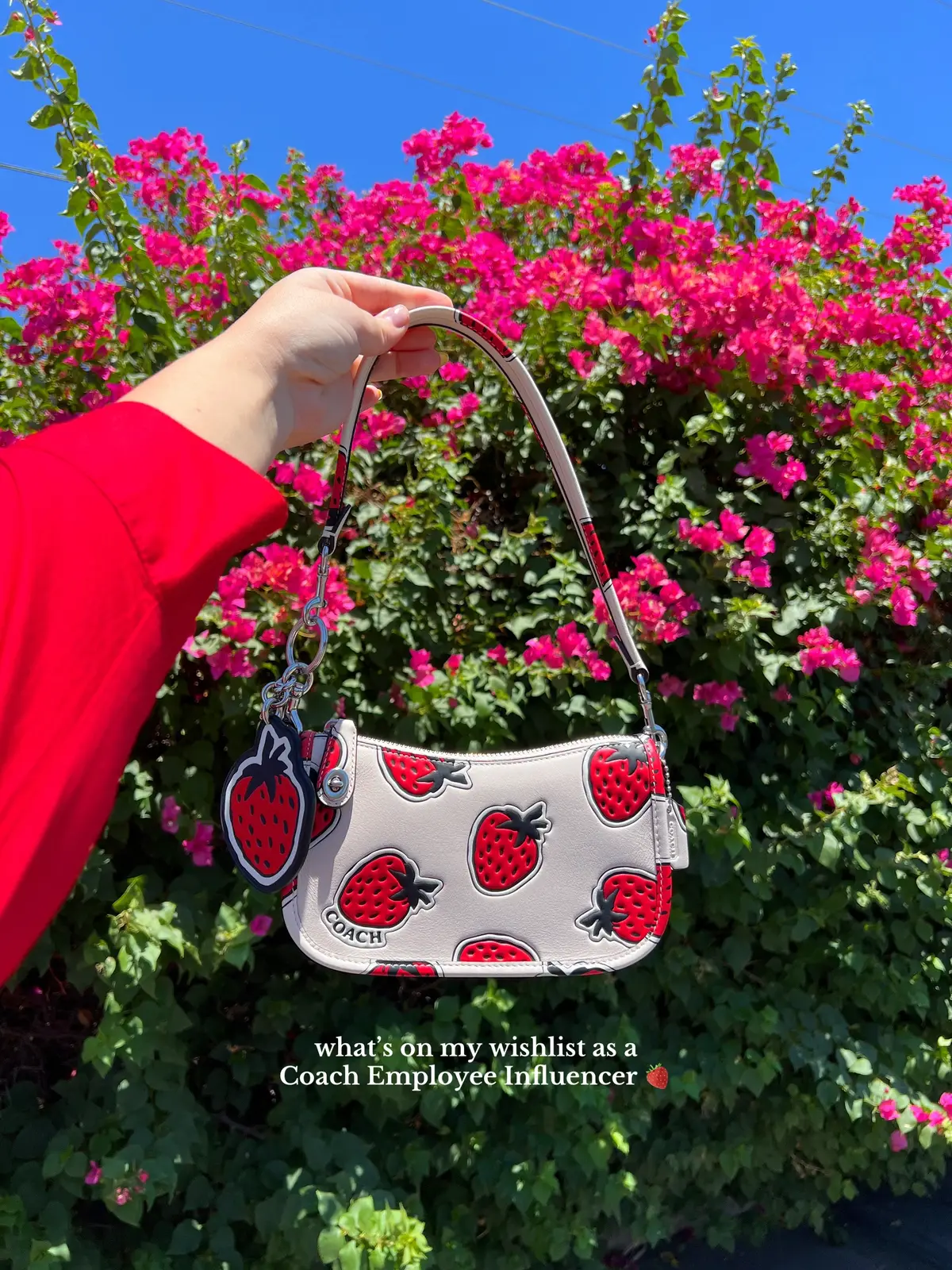 what’s currently on my Coach wishlist 🌸 so many cute styles for spring! 🍒 @Coach #coachny #coachretailemployee  #coachbags #coachpurse #coachtopia #handbagstyle #coachtok #springfashiontrends #bagcharms #shoulderbags  