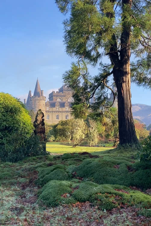 Scotland feels like a fairytale 🧚‍♀️  #Scotland #castle #highlands #roadtrip