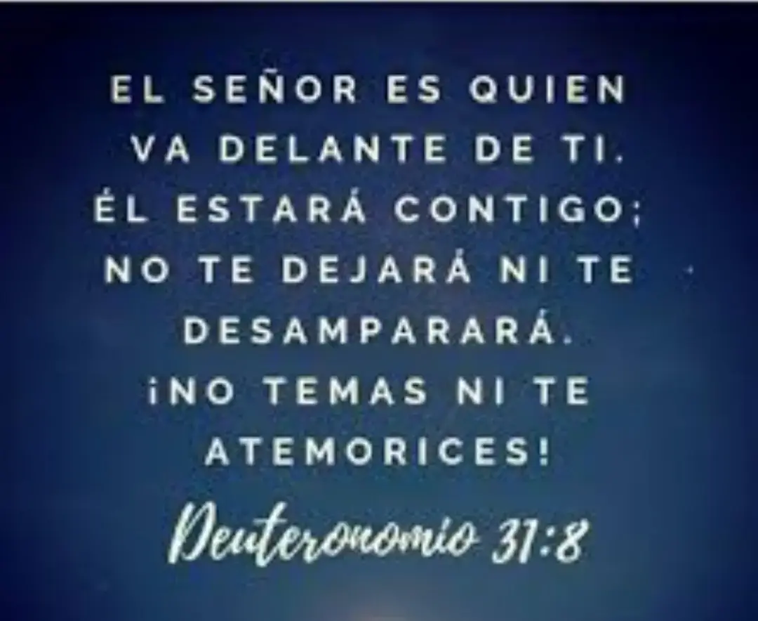 Deuteronomio 31:8 8 El Señor mismo marchará al frente de ti y estará contigo; nunca te dejará ni te abandonará. No temas ni te desanimes».