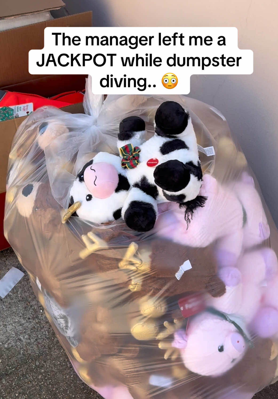 I found a huge score in the trash!! #dumpster #dumpsterdiving #donated #jackpot #insane #glamourddive 