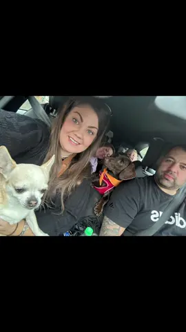 Drimsynie Weekend Away 🤍 #drimsynie #drimsynieweekendaway #palweekend #besties #weekendaway #exploringscotland #Scotland #drimsynieholidayvillage #holiday #friends #weekend #memories 