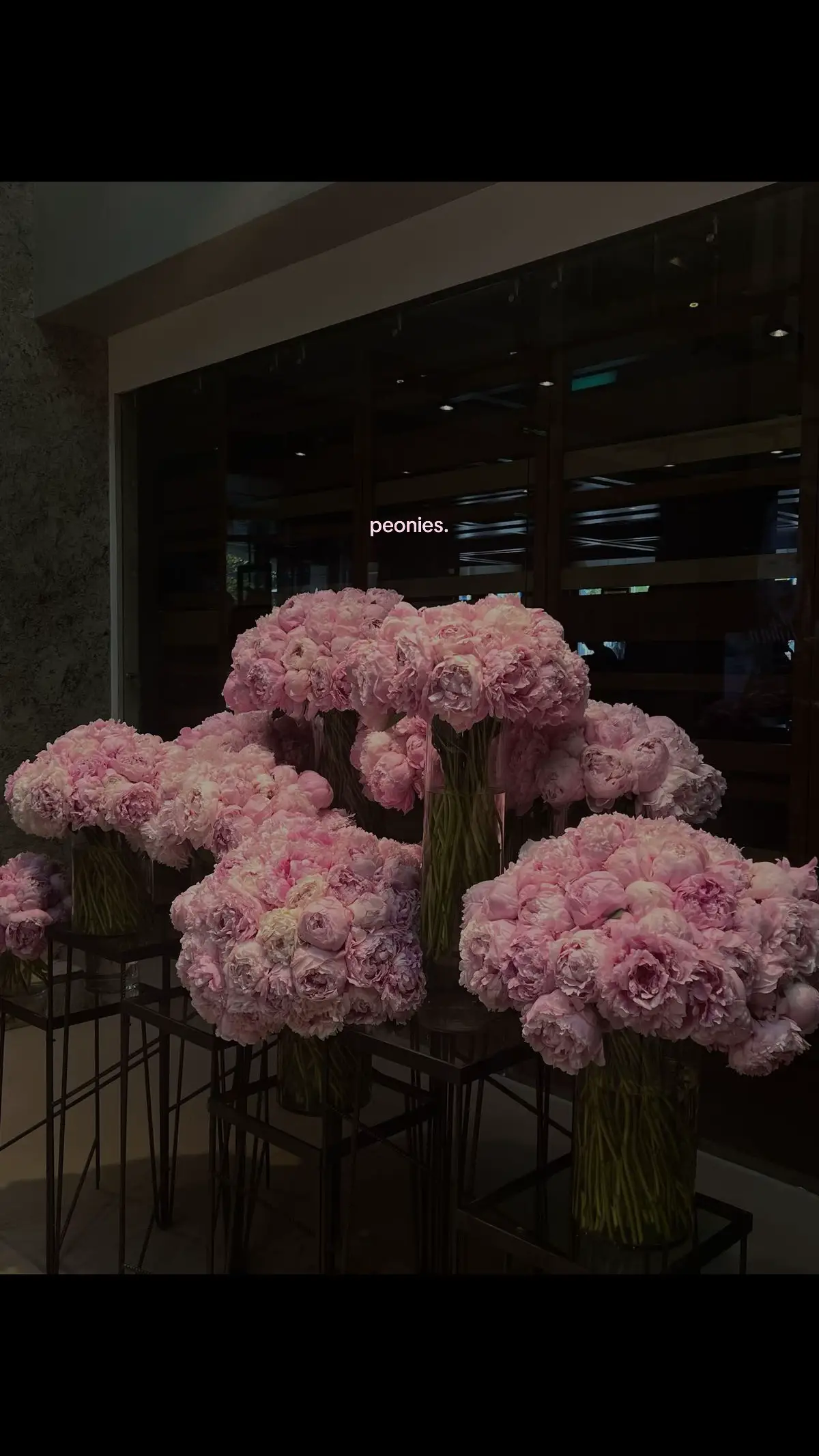 #fyp #peonies 