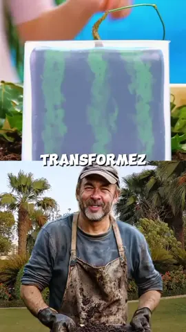 #creatorsearchinsights planting fruits and vegetables. Astuces de jardinage à connaître pour tous. watermelon. Rejoignez-nous sur notre chaîne WhatsApp pour des contenus exclusifs. #jardin #garden #jardinage #gardening #gardentok 