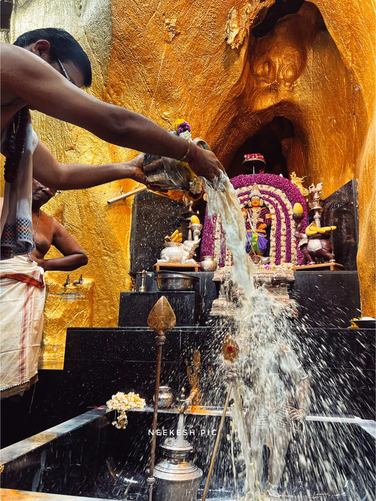 Journey to Thaipusam 25- Friday Blessings - 07.02.25🙏 #nandrikantha #thaipusam2025 #fyp #batucaves 