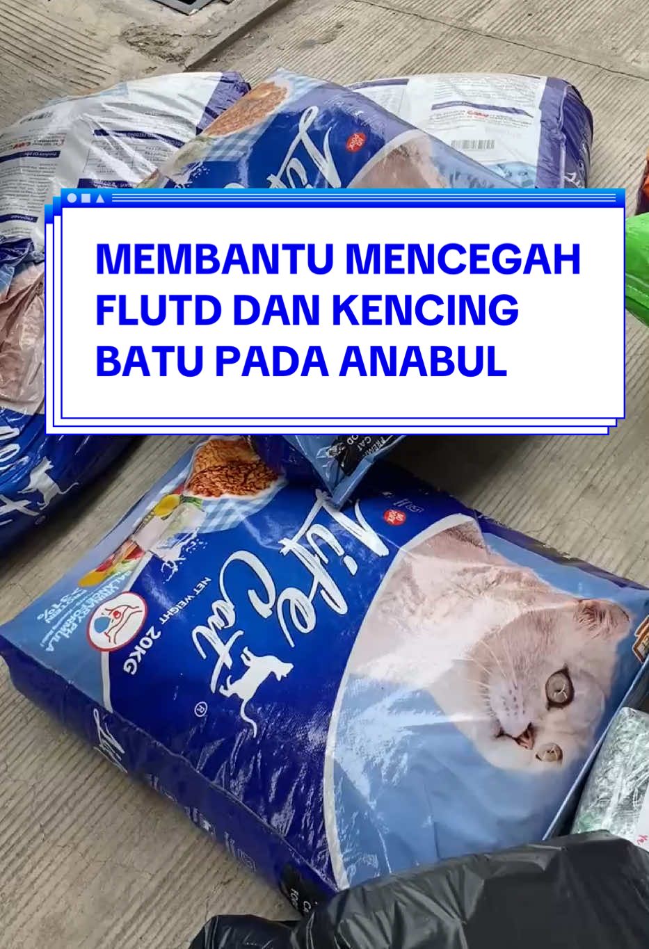 Makanan kucing urinary PH balance formula yang membantu pencegahan flutd dan kencing batu ❤️ #lifecat #makanankucing #oricat #chester #bolt #catchoize #petfood #dryfood #petonline 