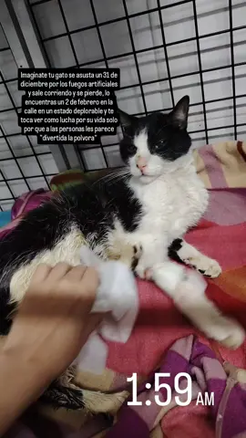 No se ni que decirles 🥺 tengo el corazón demasiado arrugado 