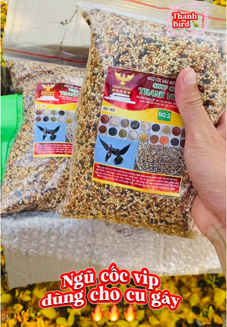 Ngũ cốc vip dùng chăm cu gáy đạt lửa, tặng kèm muỗng xúc 🔥🔥🔥 #Thanhbird #chimcugay #chamsocchimcugay #thucanchimcugay #xuhuong 