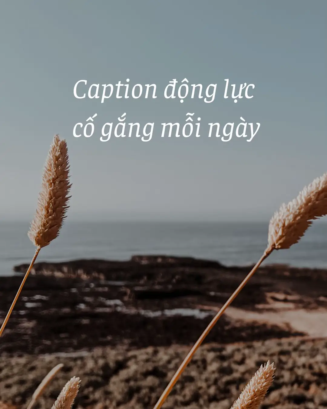 Thành công hay không không quan trọng Quan trọng là bản thân mình đã cố gắng nỗ lực hết mình #quotes #quoteoftheday #truyendongluc #captionhay #ynghiacuocsong #truyencamhung #statushay #xuhuong #xuhuongtiktok #trend #trending