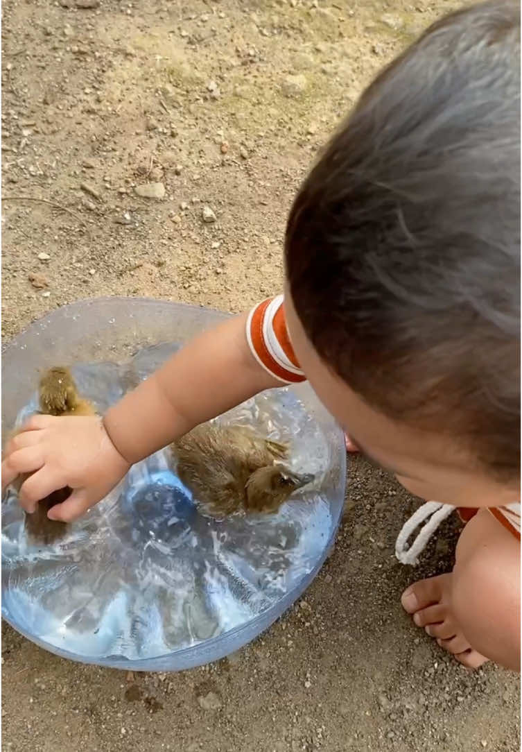 Bayi punya momongan 🦆 #saelakune #babysae #toddler #toddlersoftiktok #toddleractivities #angonbebek 