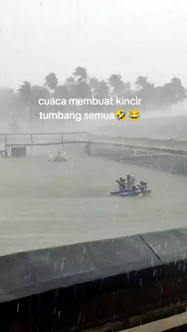 #fypシ #story #pekerja #kulitambak #tambak #official #udang #fypシ #vanameindonesia🦐🦐🦐 