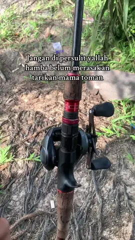 Gimana sih tarikan mama toman… #angler213 #castinggabusindonesia #boncos_mania #mancingmaniajambi #castingfishing🎣 #tobrutbrutal #anglerkocolan #castingtoman #stroom⚡ 
