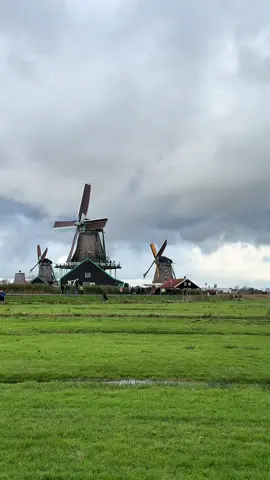 من ارض الطواحين 🇳🇱 #امستردام 