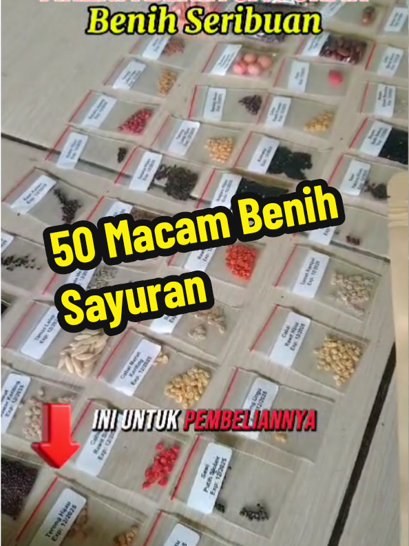 Aneka benih sayuran 50 macam jenis sayuran #benihsayuran #anekabenihsayuran #benihseribuan #bibitsayuran 